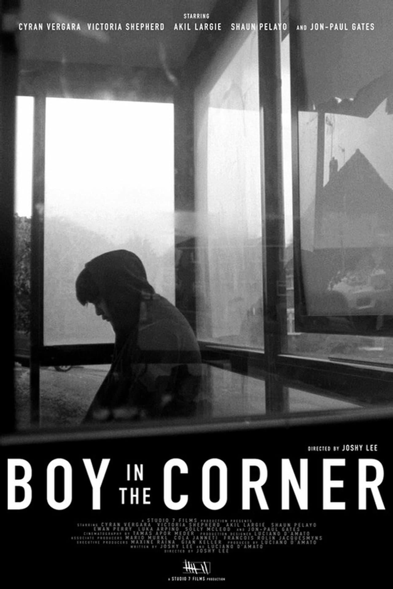 Assistir Boy in the Corner Online em HD