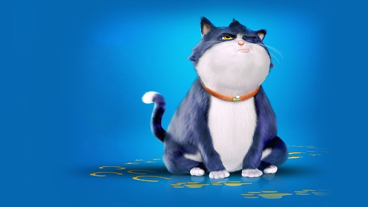 Um Gato de Sorte