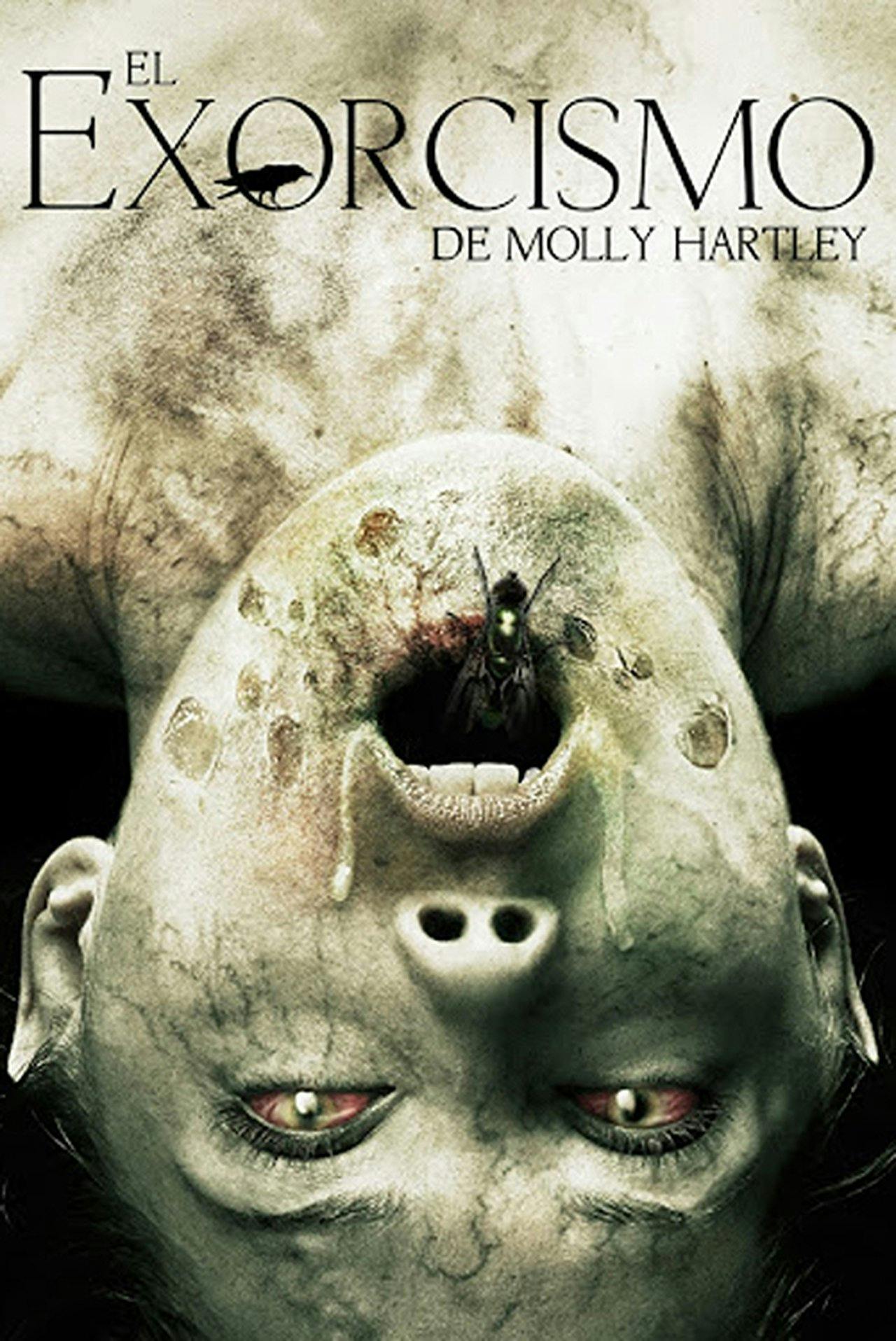 Assistir O Exorcismo de Molly Hartley Online em HD