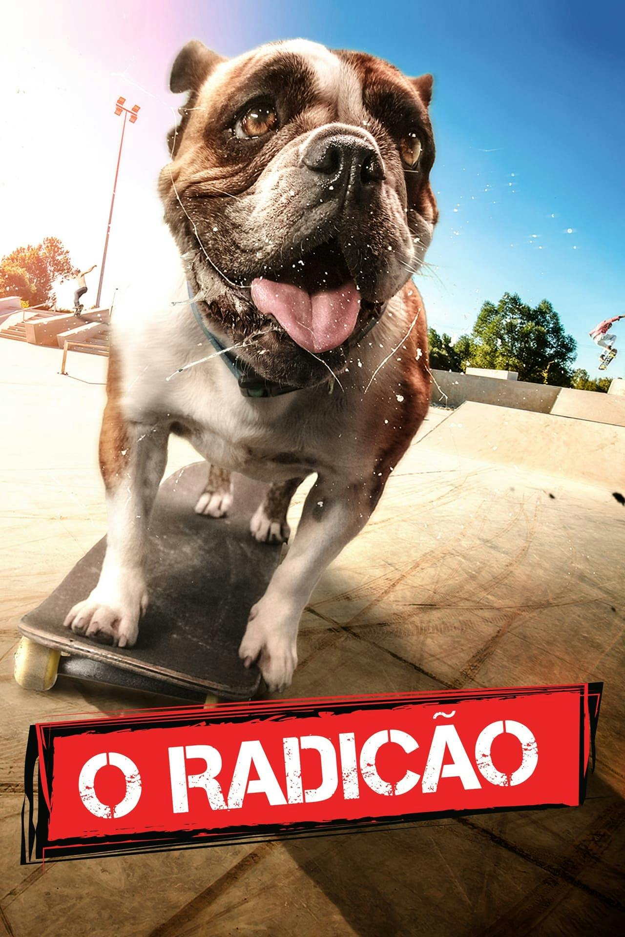 Assistir O Radicão Online em HD