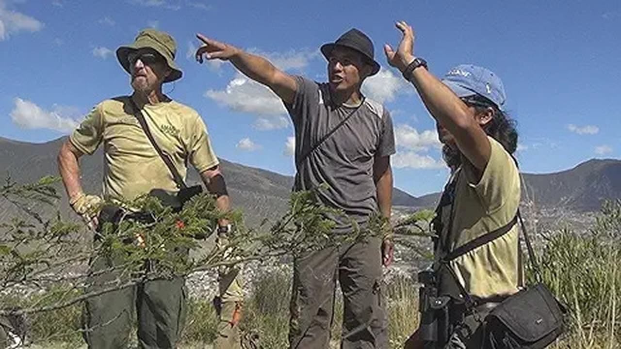 assista ao episódio 2 da temporada 1