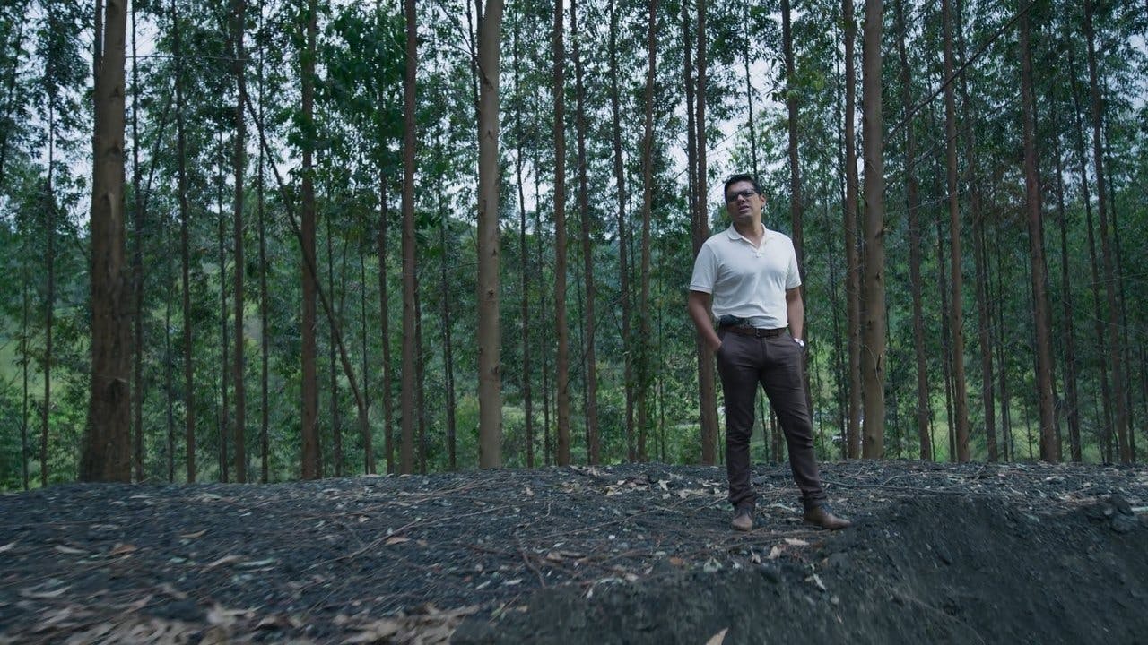 assista ao episódio 5 da temporada 1