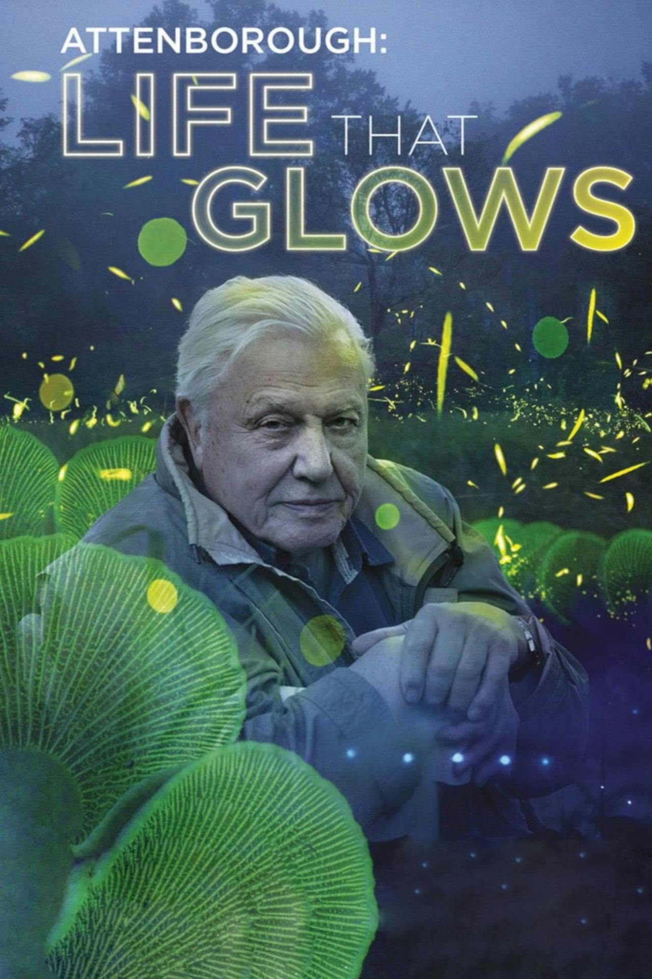 Assistir Attenborough’s Life That Glows Online em HD