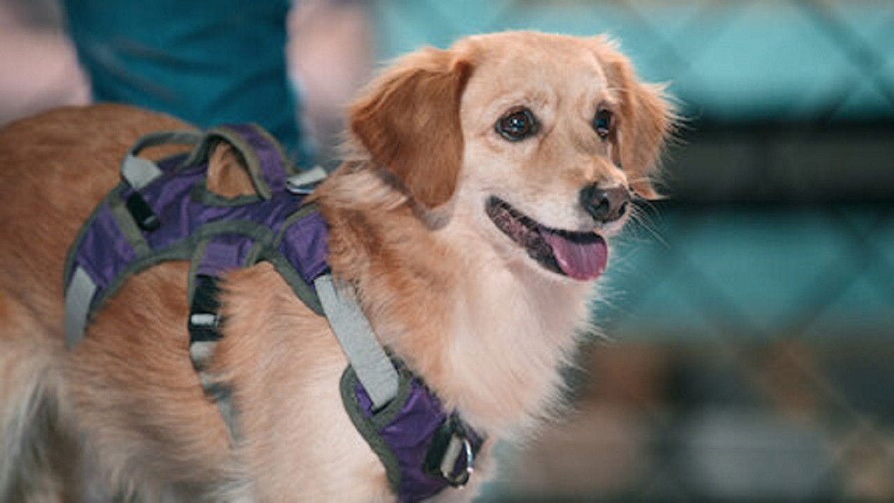 assista ao episódio 1 da temporada 1