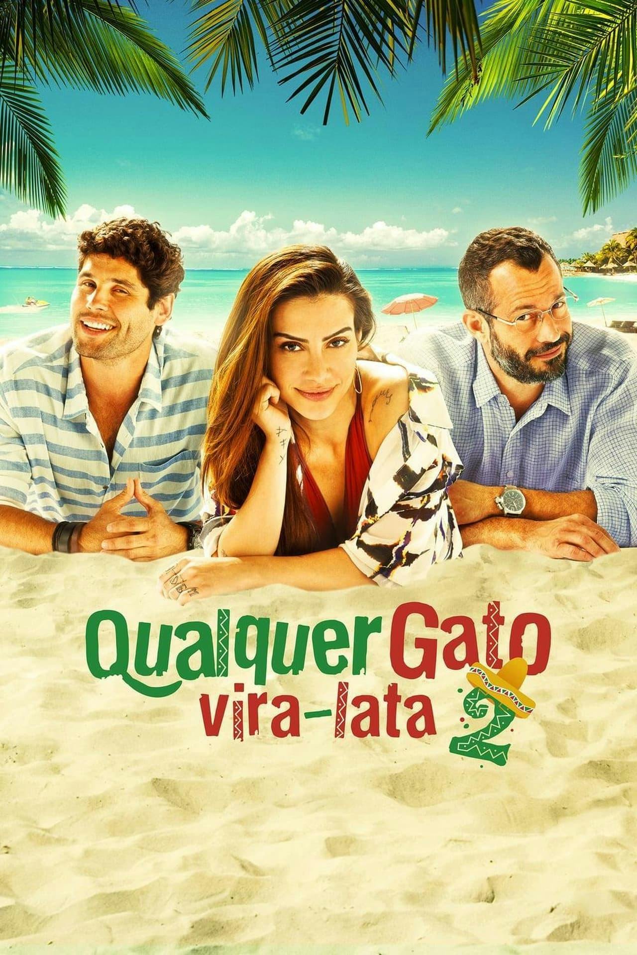 Assistir Qualquer Gato Vira Lata 2 Online em HD