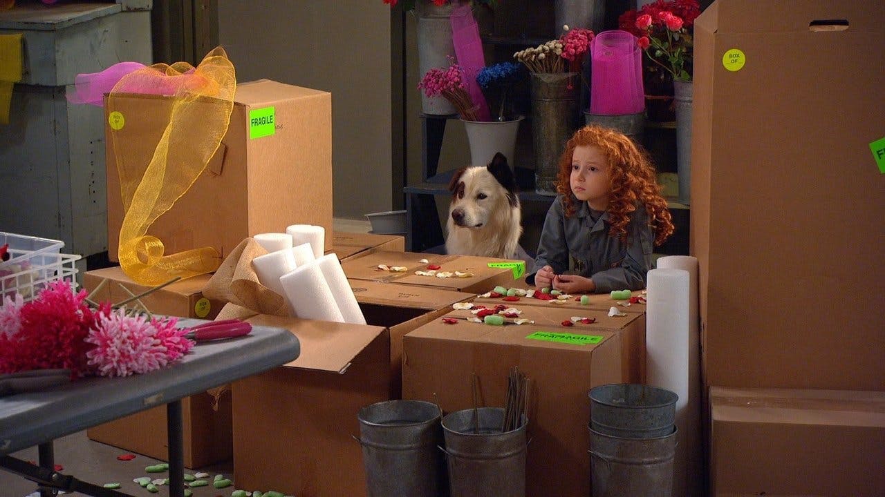 assista ao episódio 20 da temporada 2