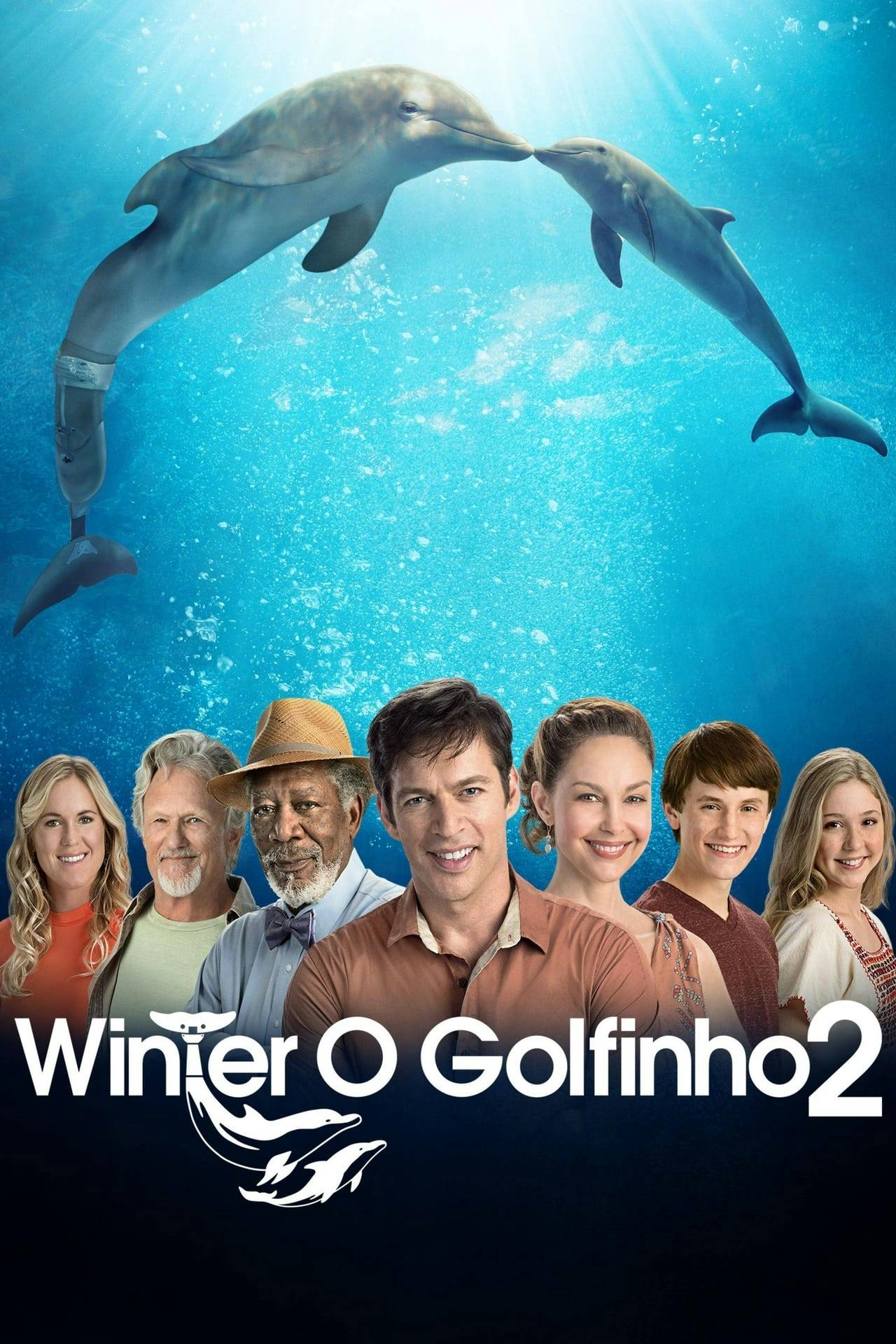 Assistir Winter, o Golfinho 2 Online em HD