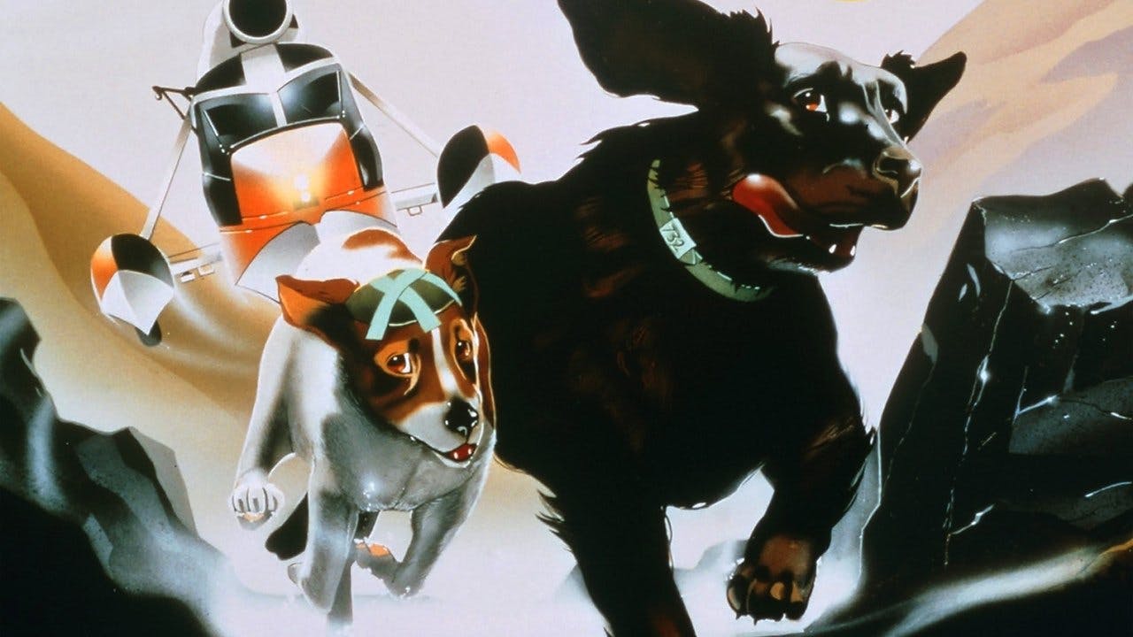 Os Cães Plagueados