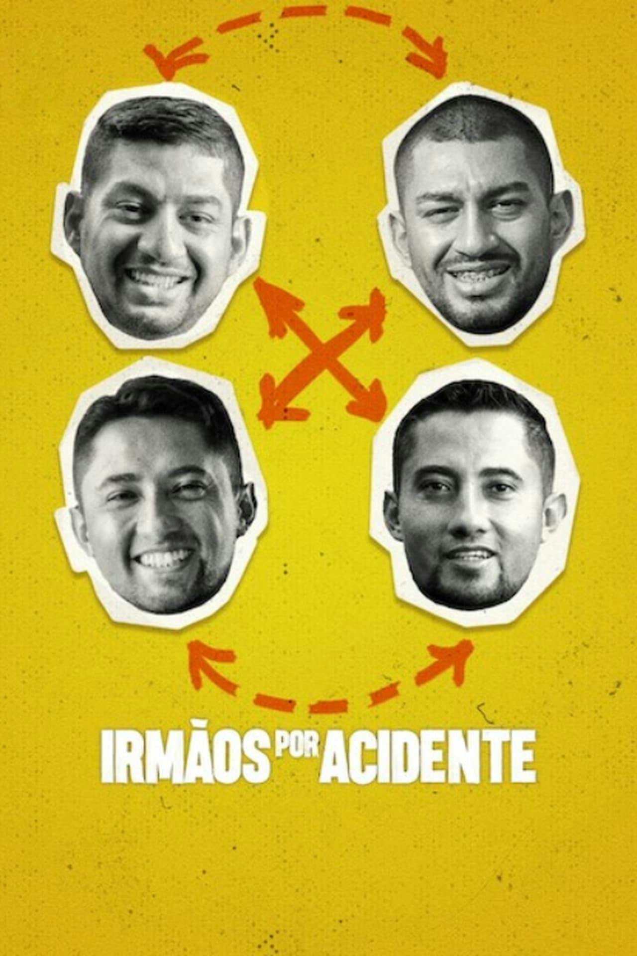 Assistir Irmãos por Acidente Online em HD