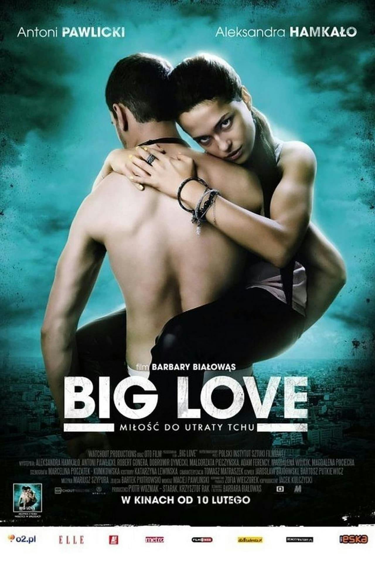 Assistir Big Love Online em HD