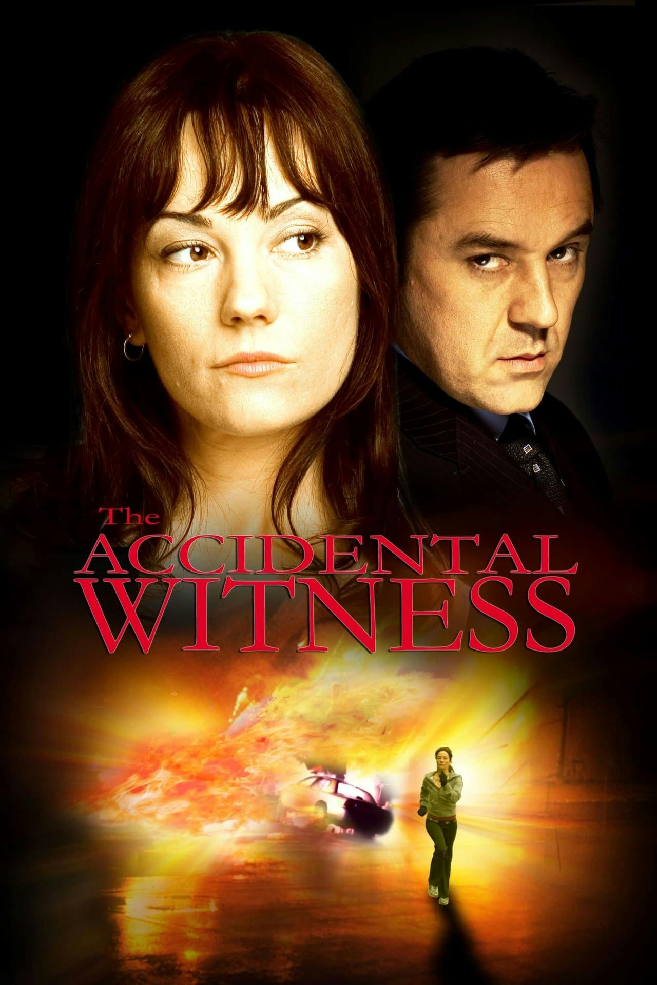 Assistir The Accidental Witness Online em HD