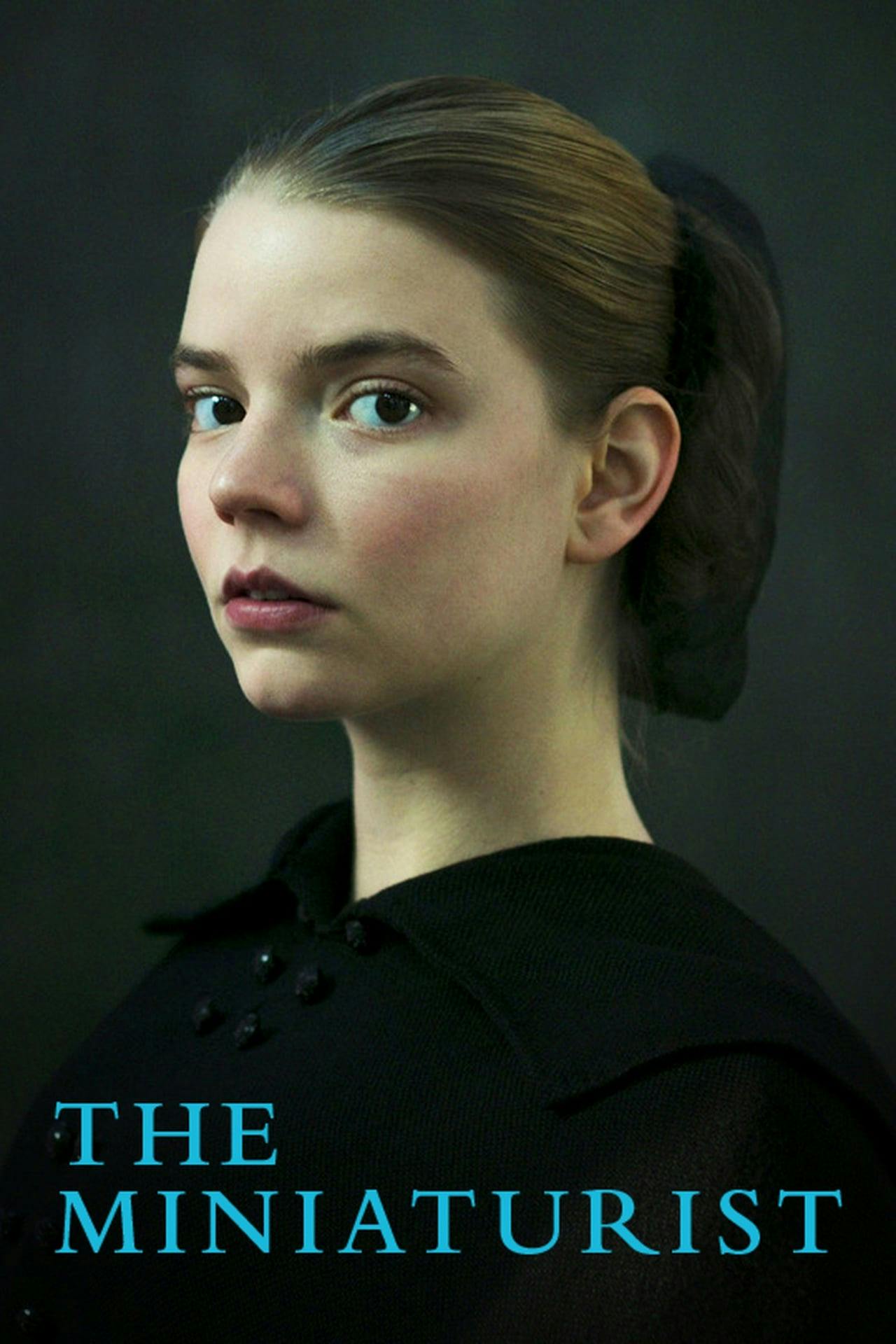 Assistir The Miniaturist Online em HD