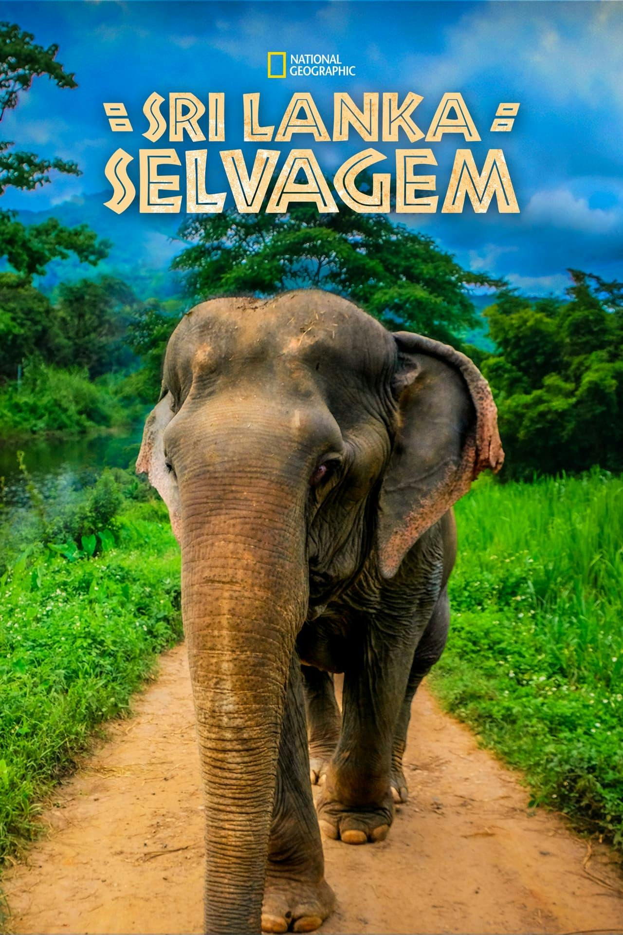 Assistir Sri Lanka Selvagem (Wild Sri Lanka) Online em HD