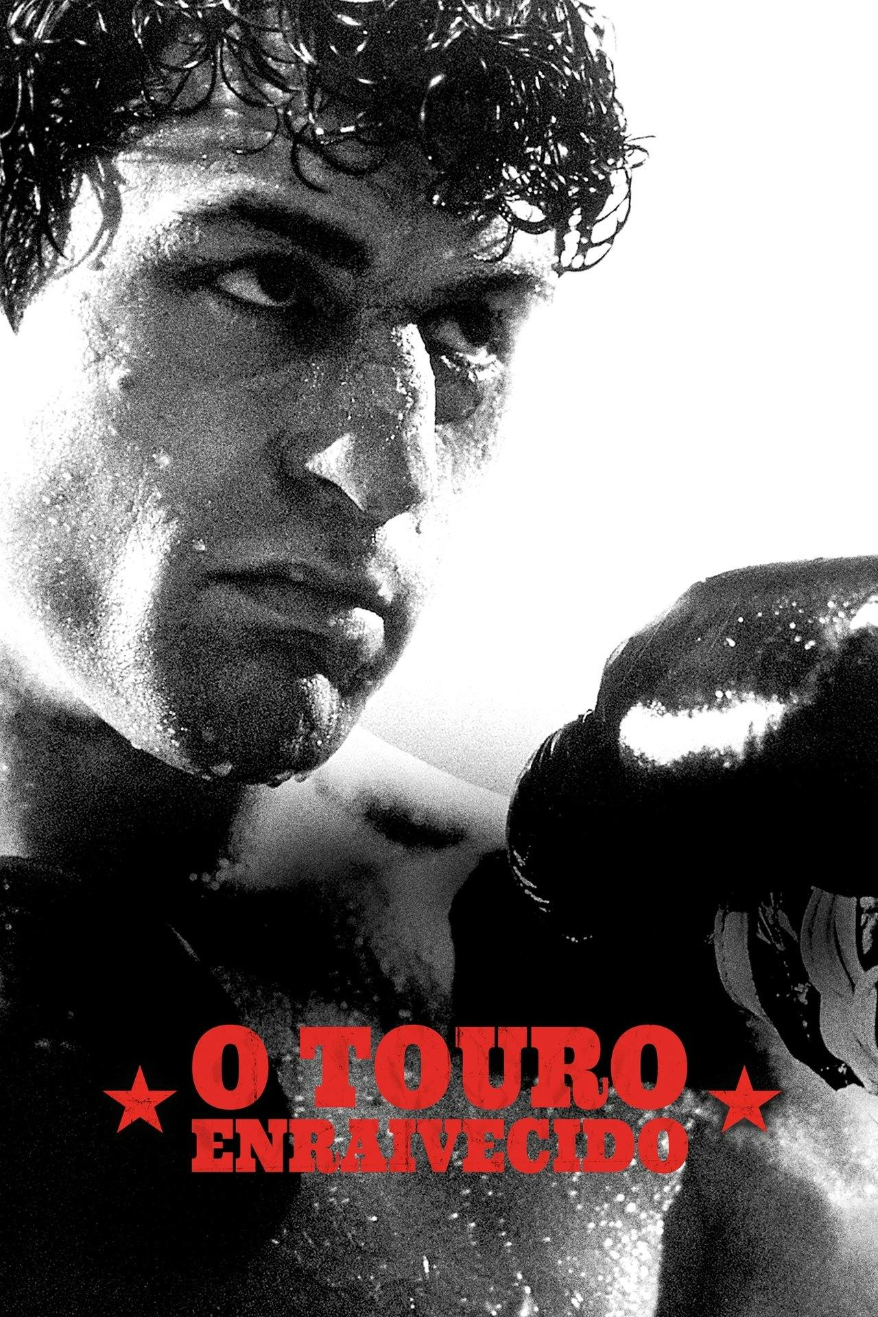 Assistir Touro Indomável Online em HD