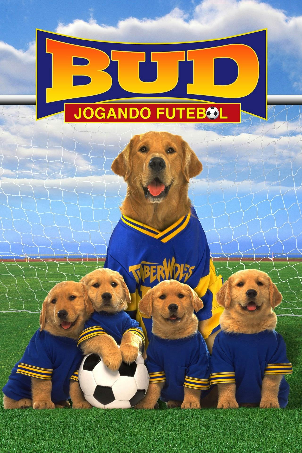 Assistir Bud 3: Jogando Futebol Online em HD