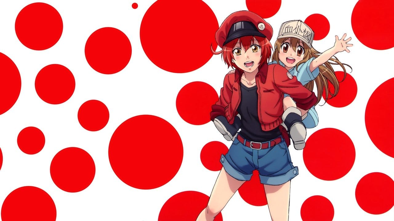 Cells at Work!