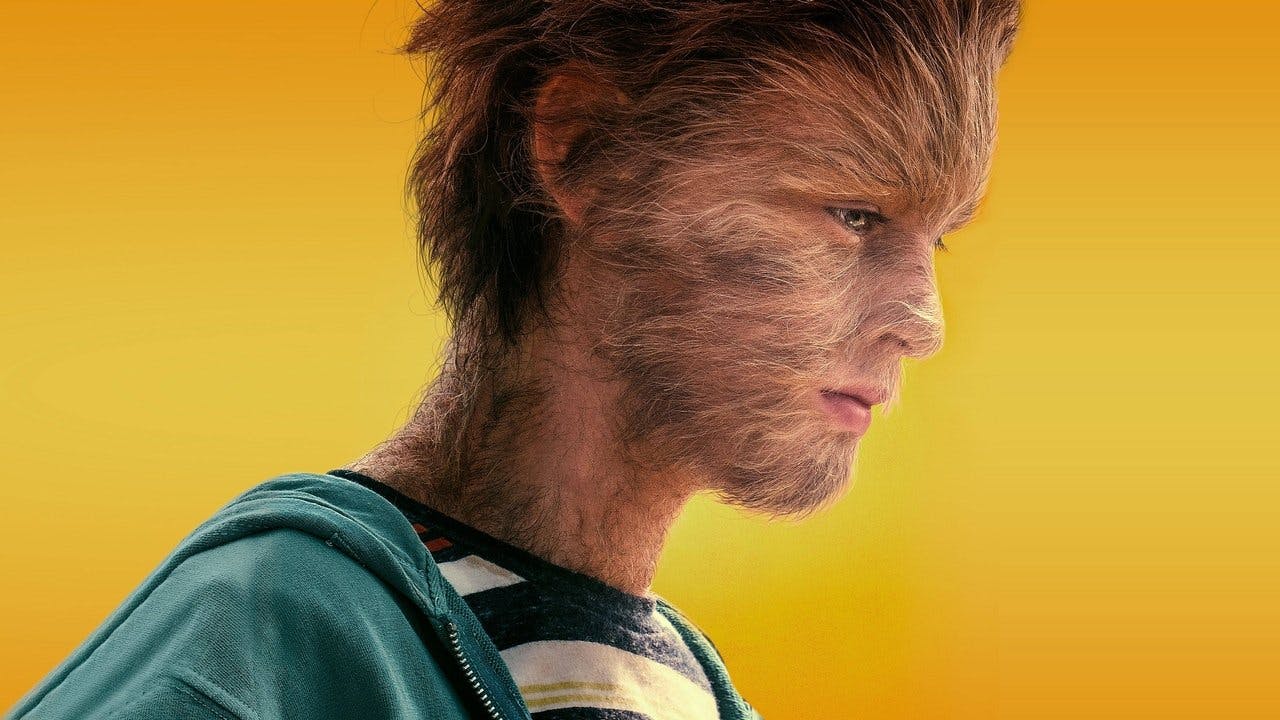 As Verdadeiras Aventuras do Menino Lobo assista online