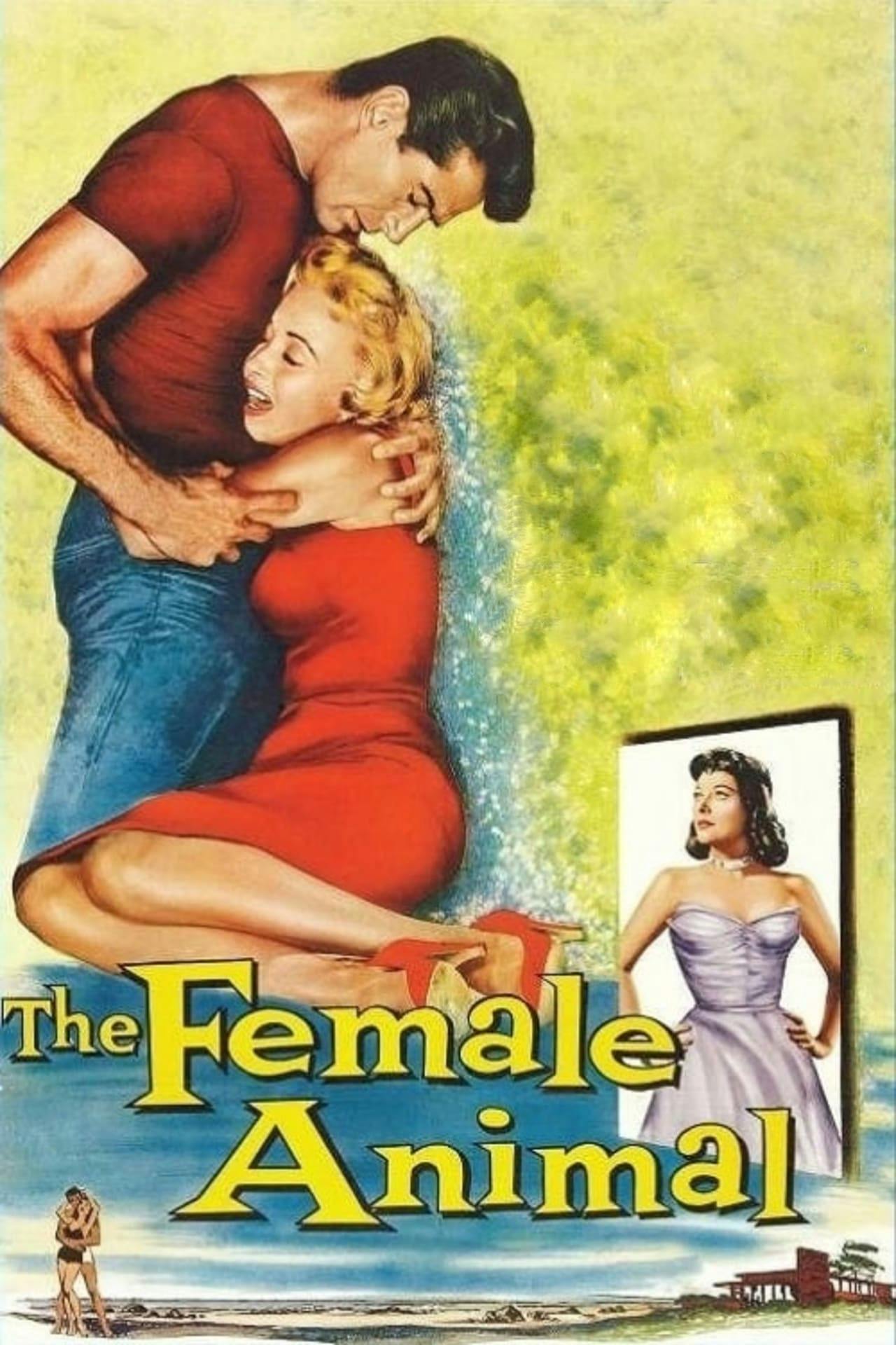 Assistir The Female Animal Online em HD