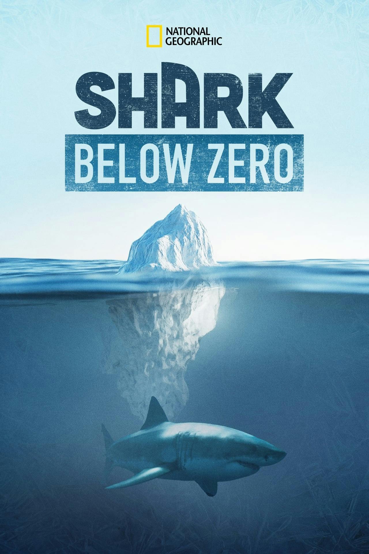 Assistir Shark Below Zero Online em HD