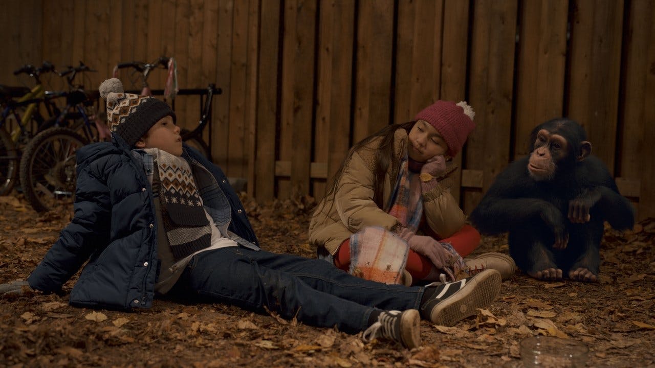 assista ao episódio 10 da temporada 1