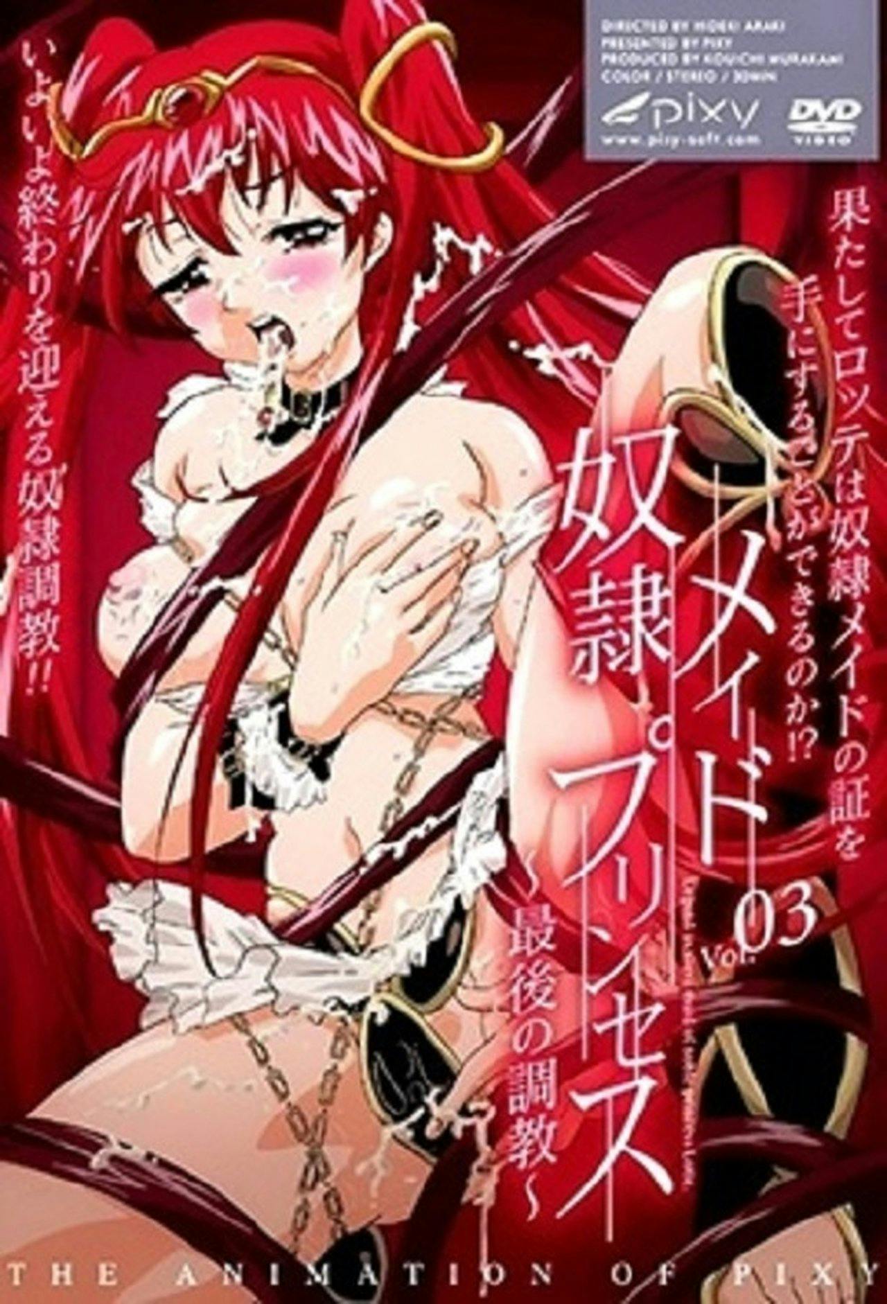 Assistir Slave Maid Princess Online em HD
