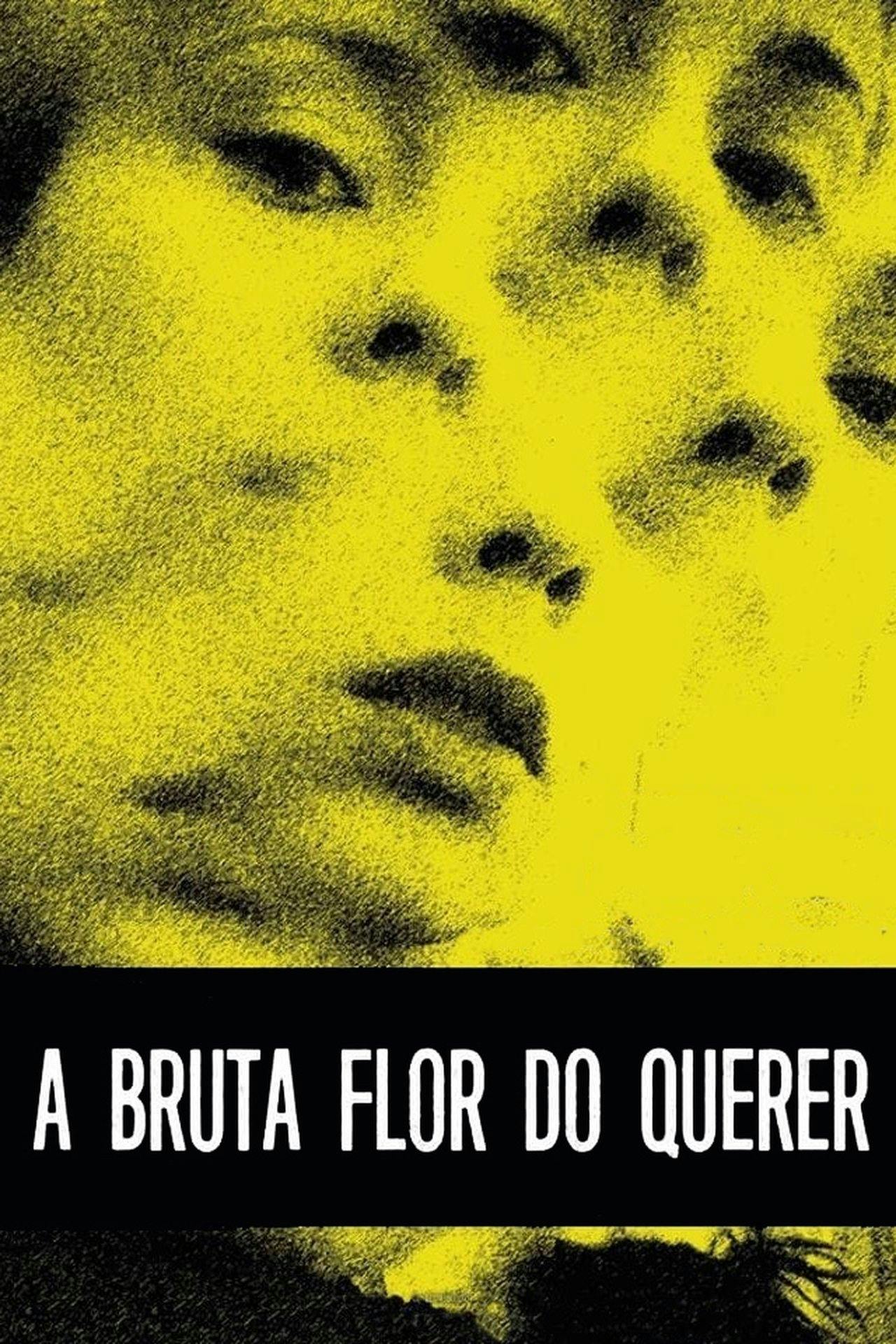 Assistir A Bruta Flor do Querer Online em HD