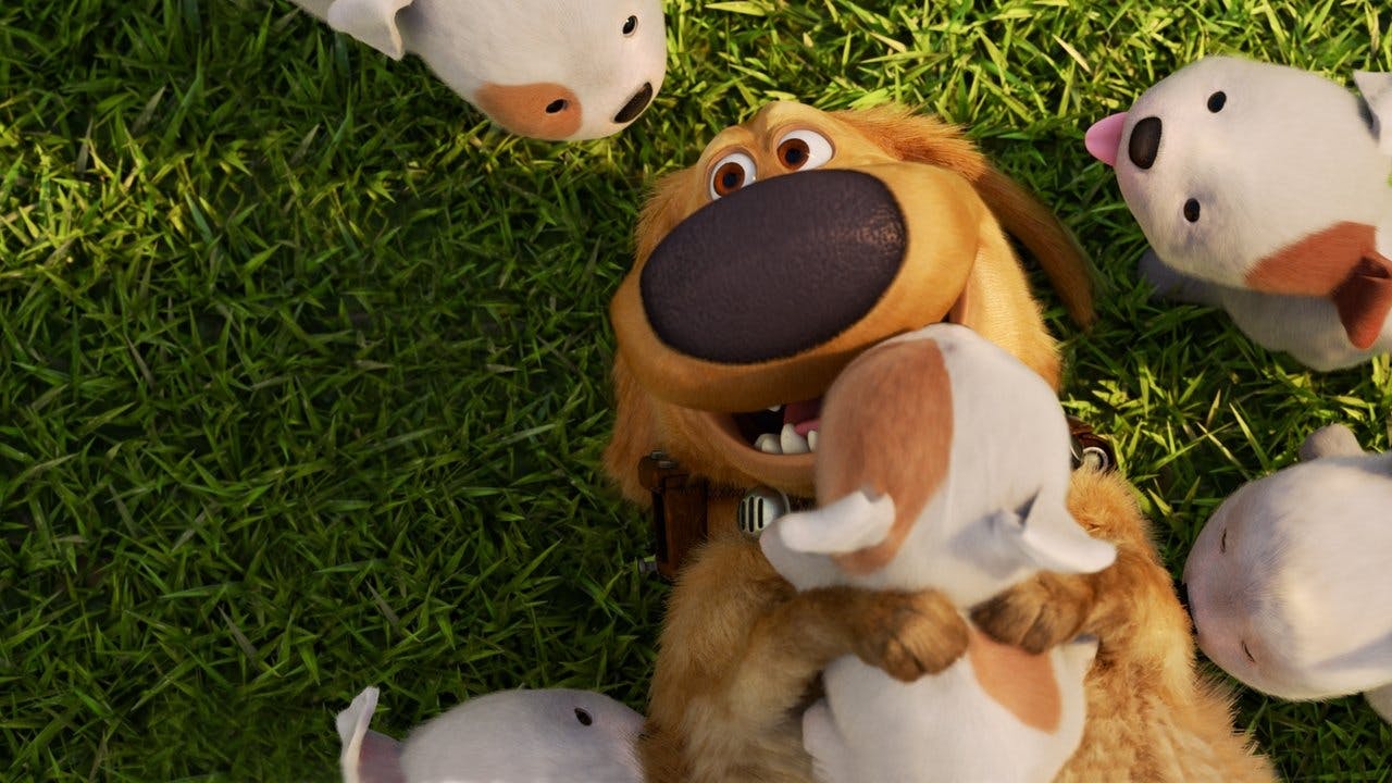 A Vida de Dug
