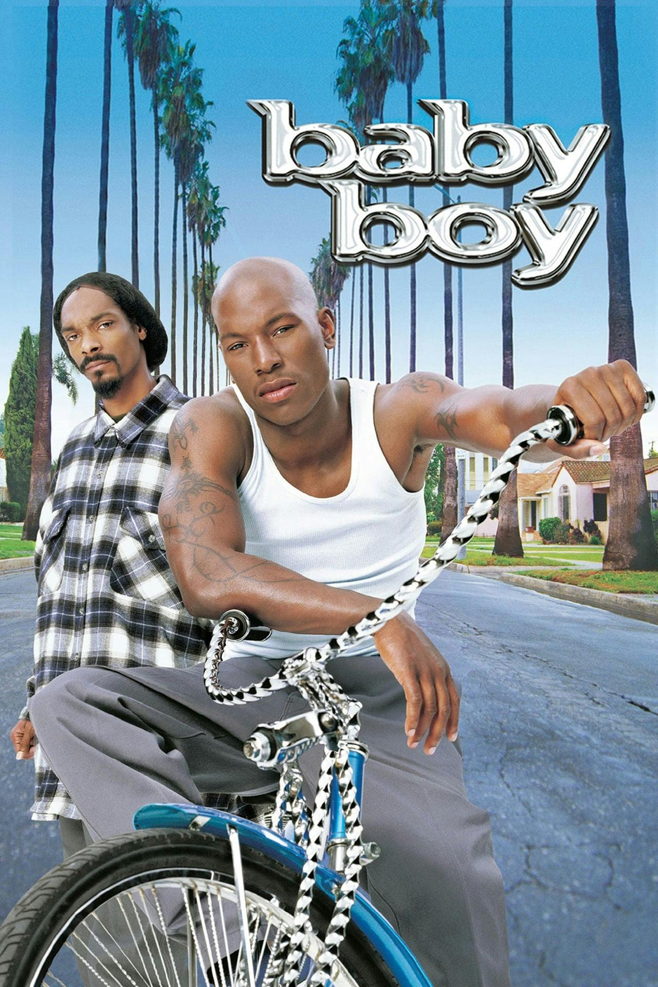 Assistir Baby Boy: O Dono da Rua Online em HD