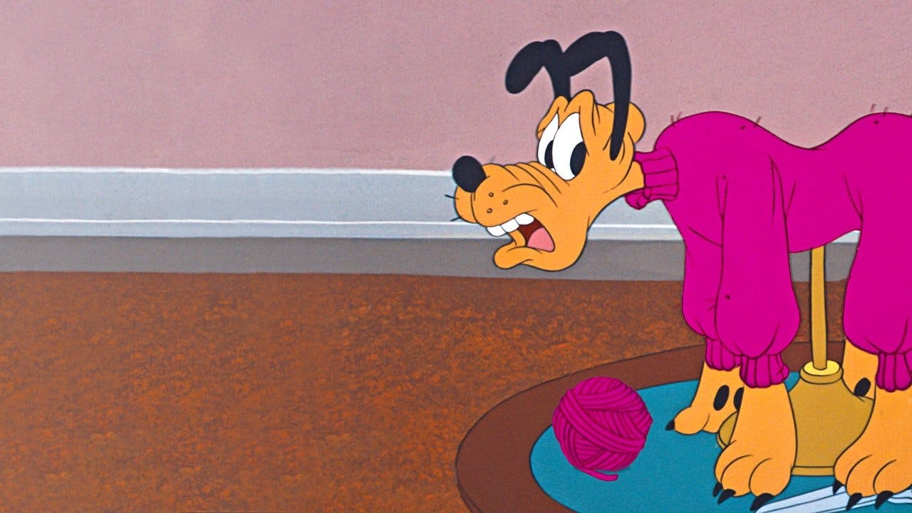 O Suéter do Pluto