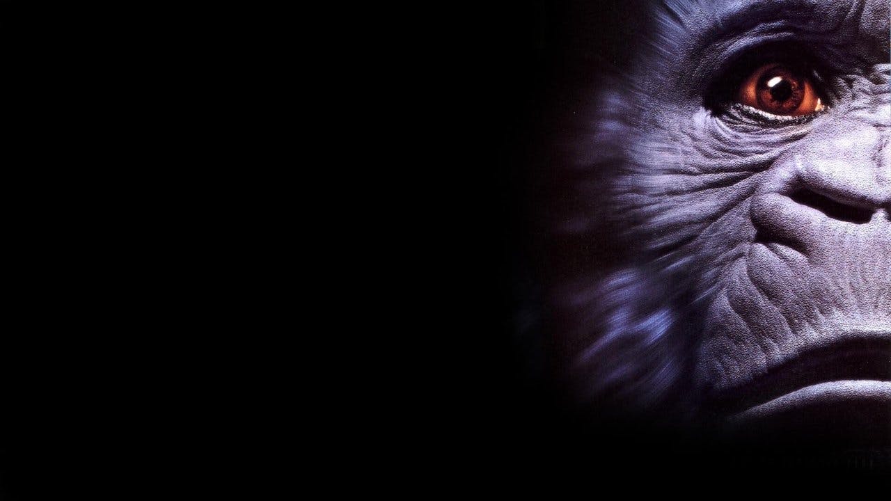 Congo assista online