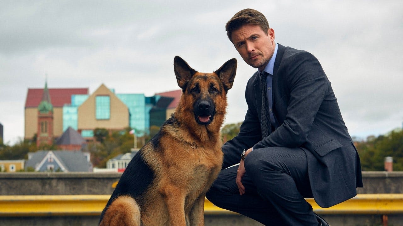 Hudson & Rex assista online