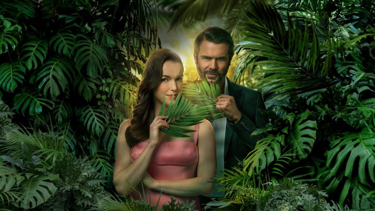 Mystery Island: Winner Takes All assista online