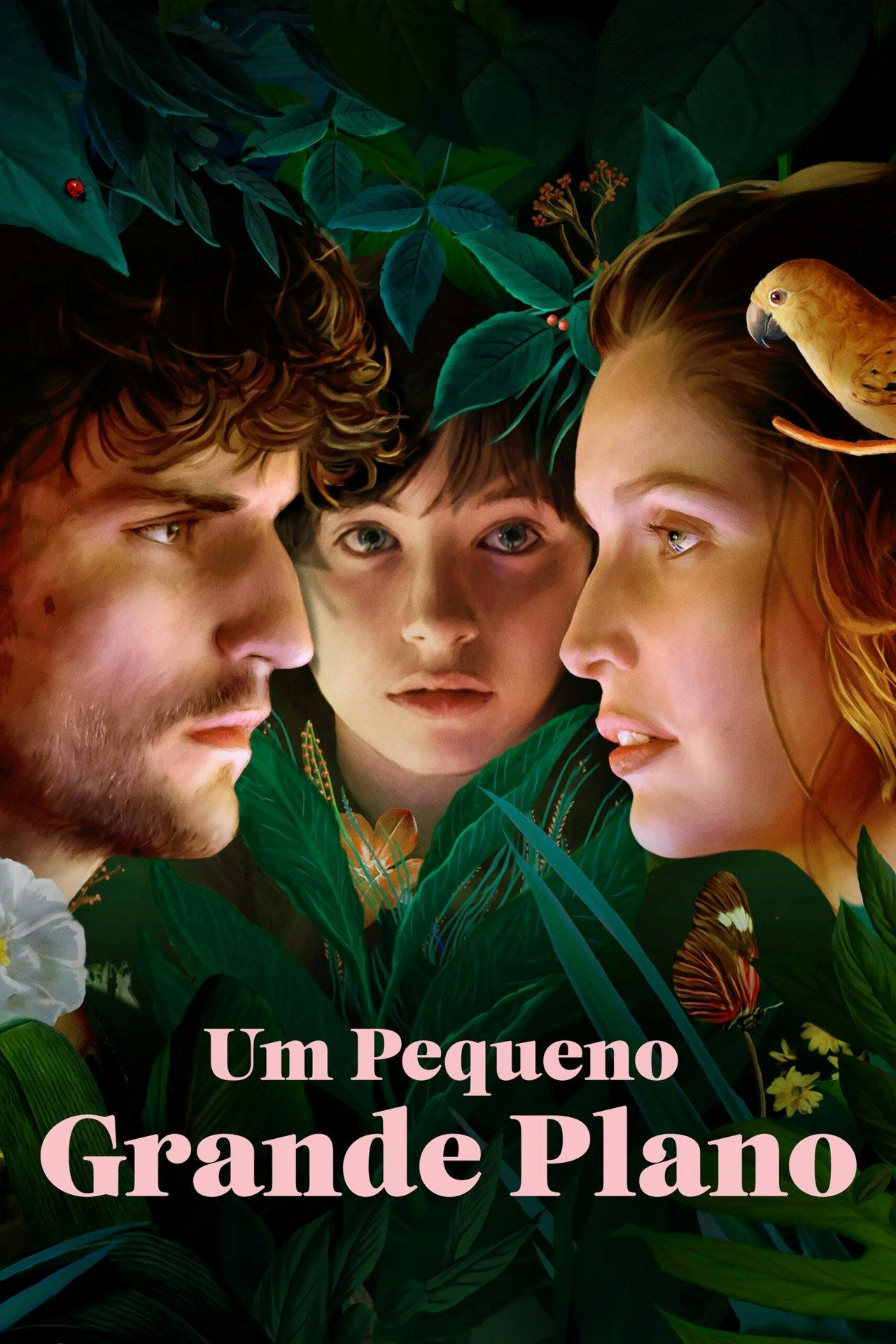 Assistir Um Pequeno Grande Plano Online em HD