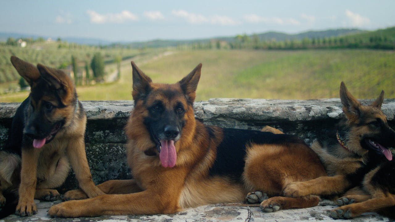 assista ao episódio 4 da temporada 1