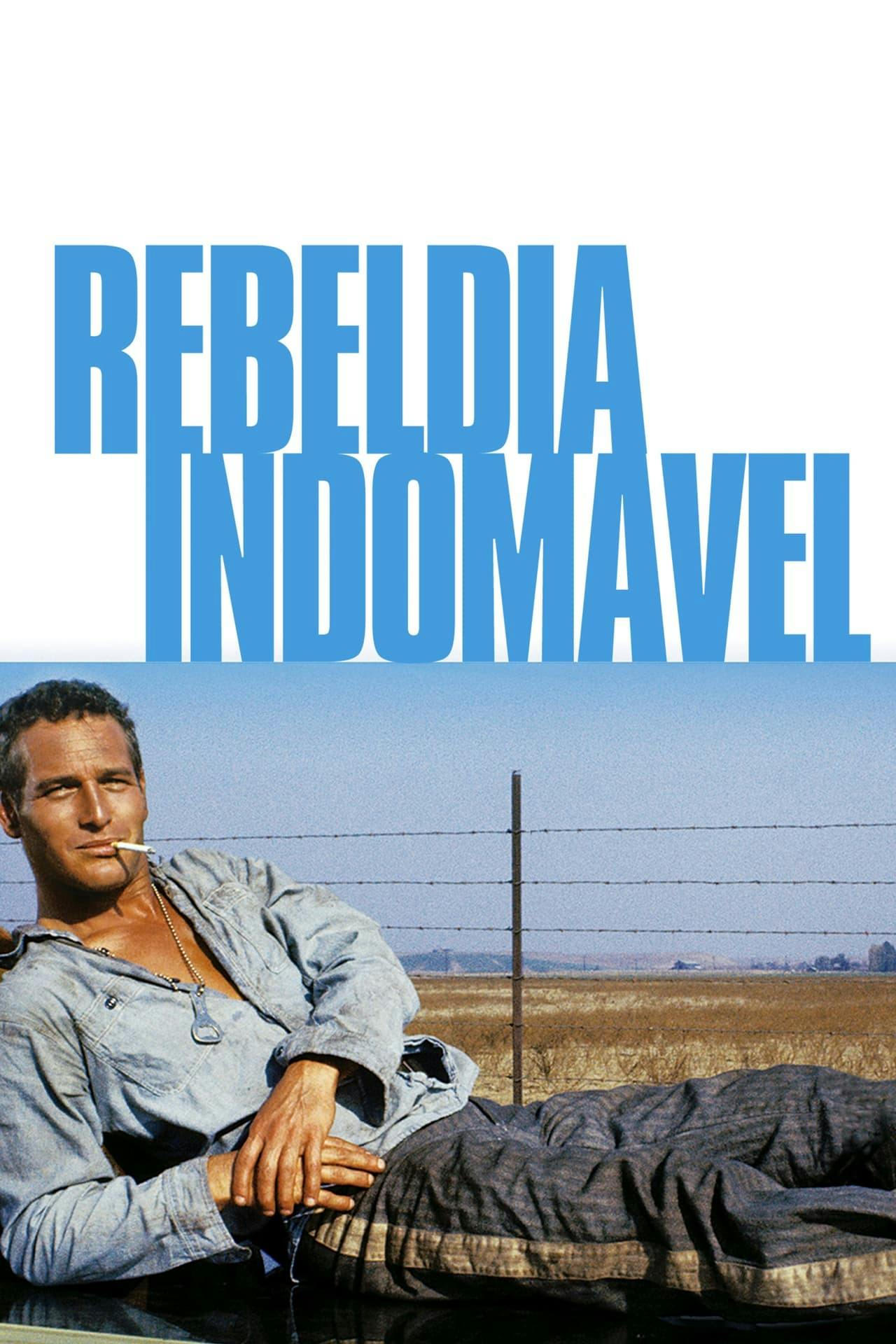 Assistir Rebeldia Indomável Online em HD