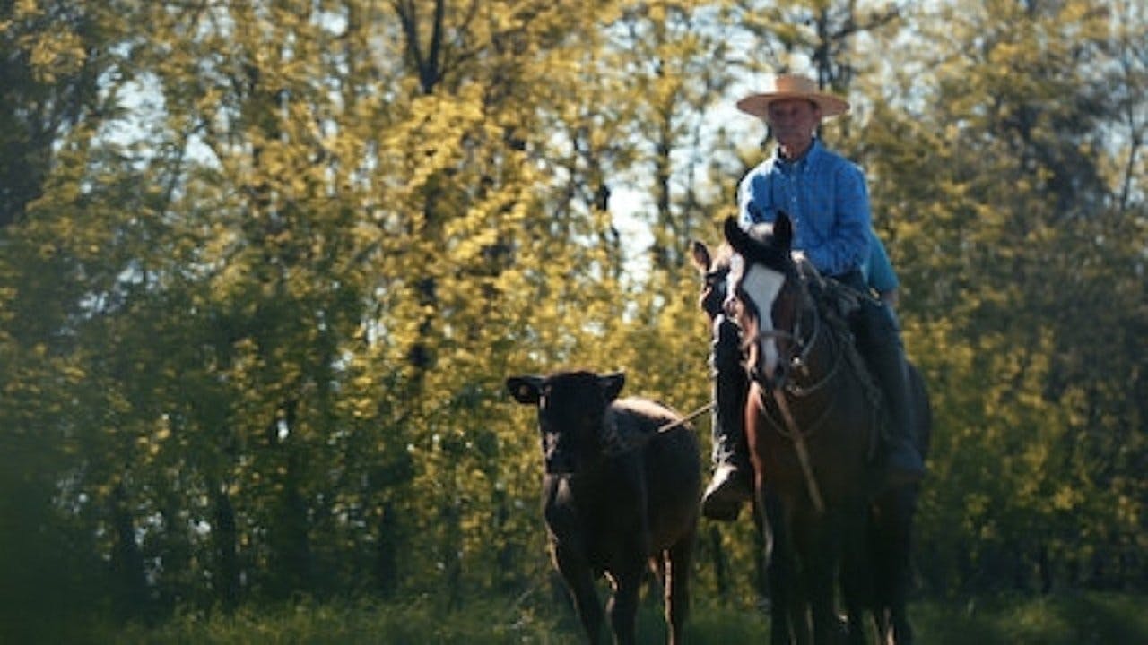 assista ao episódio 6 da temporada 1