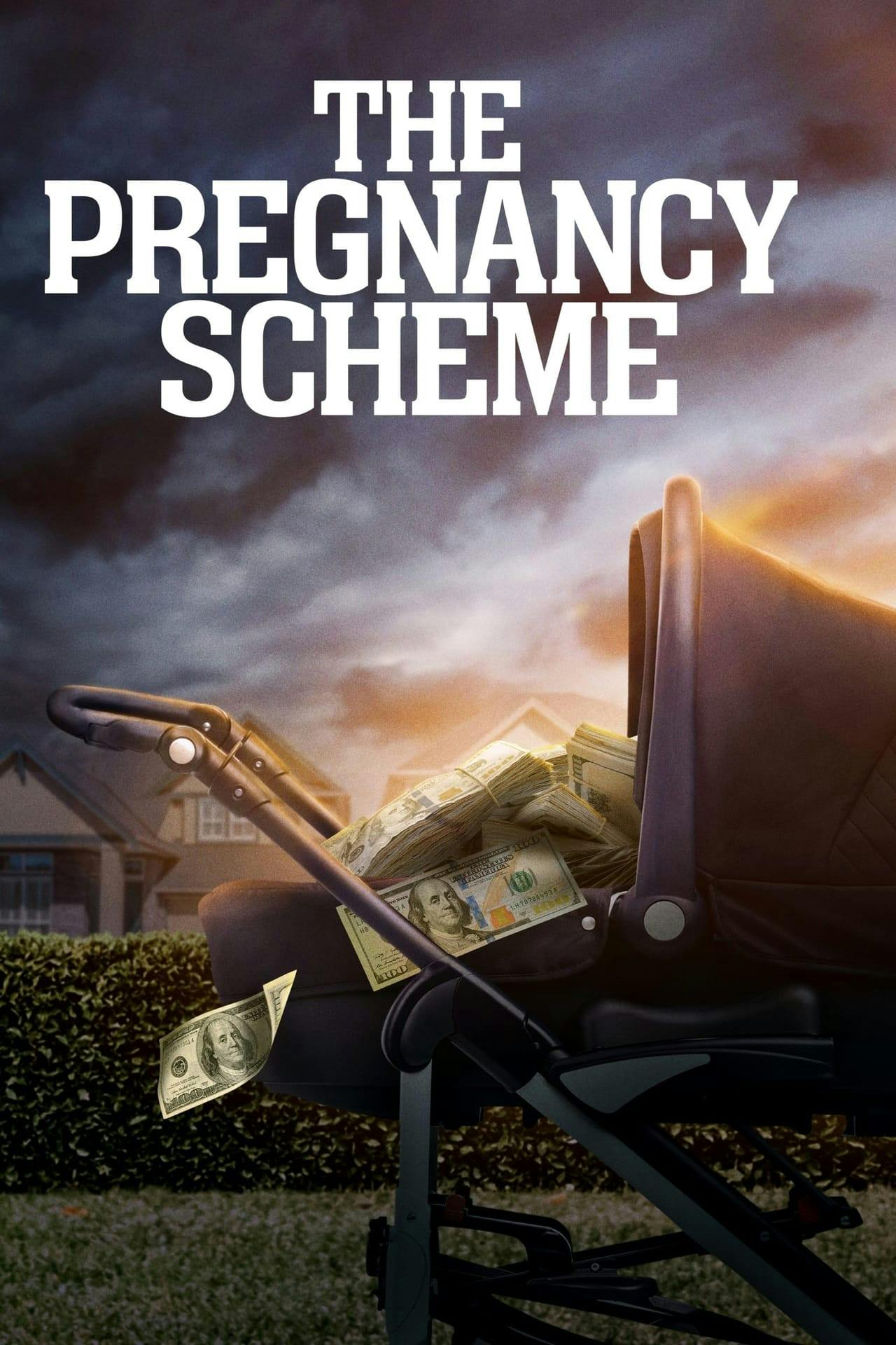 Assistir The Pregnancy Scheme Online em HD