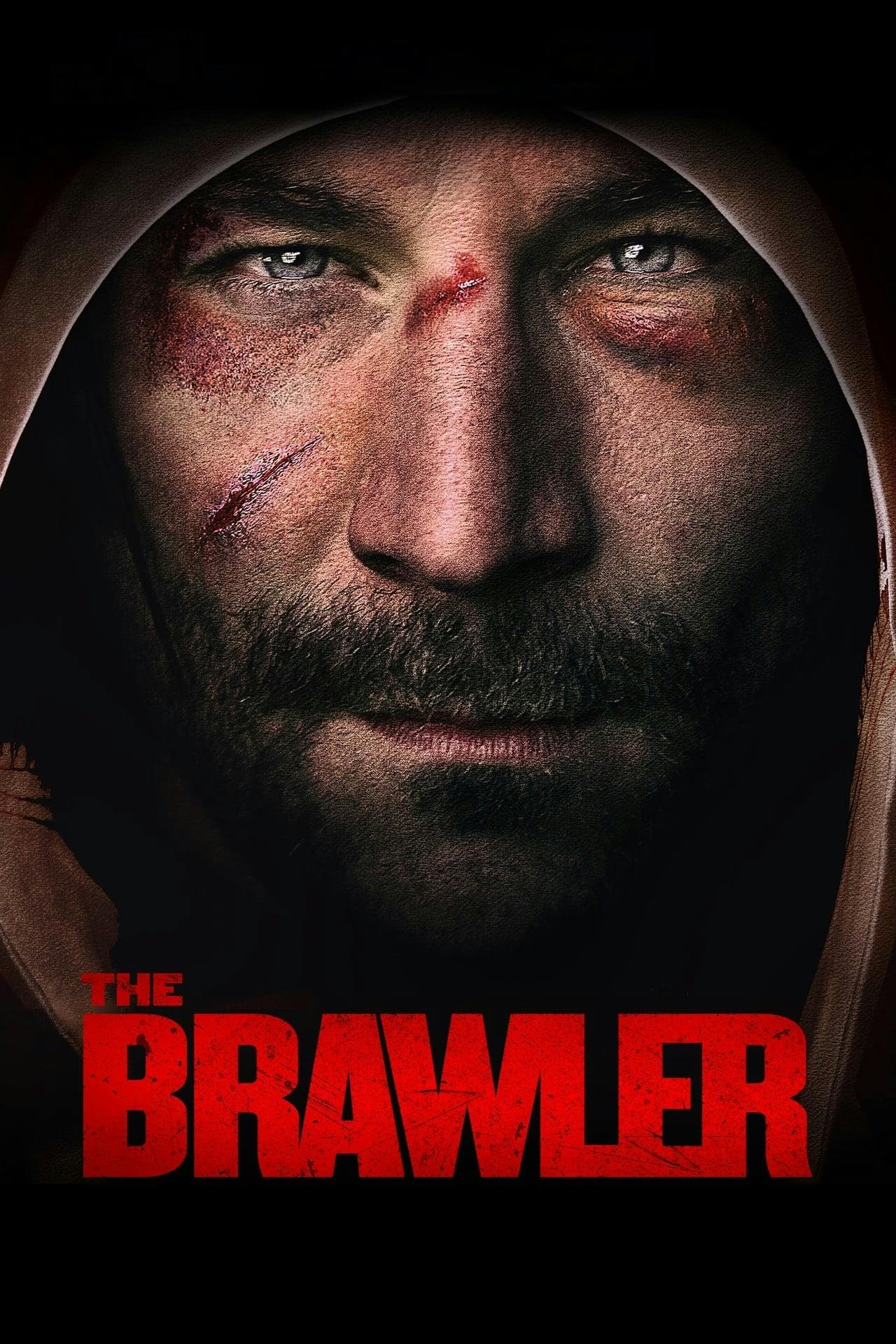 Assistir The Brawler Online em HD