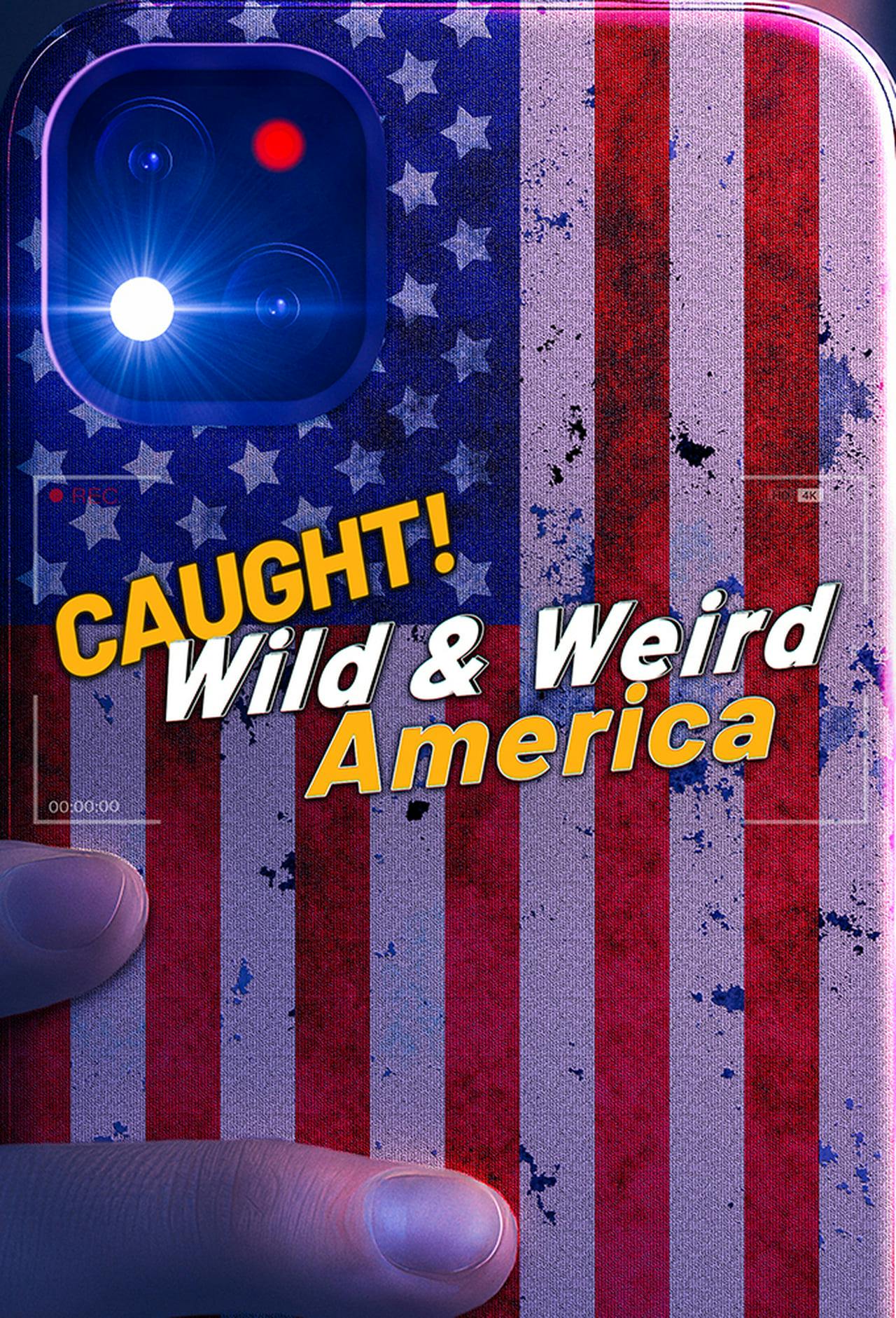 Assistir Caught! Wild & Weird America Online em HD