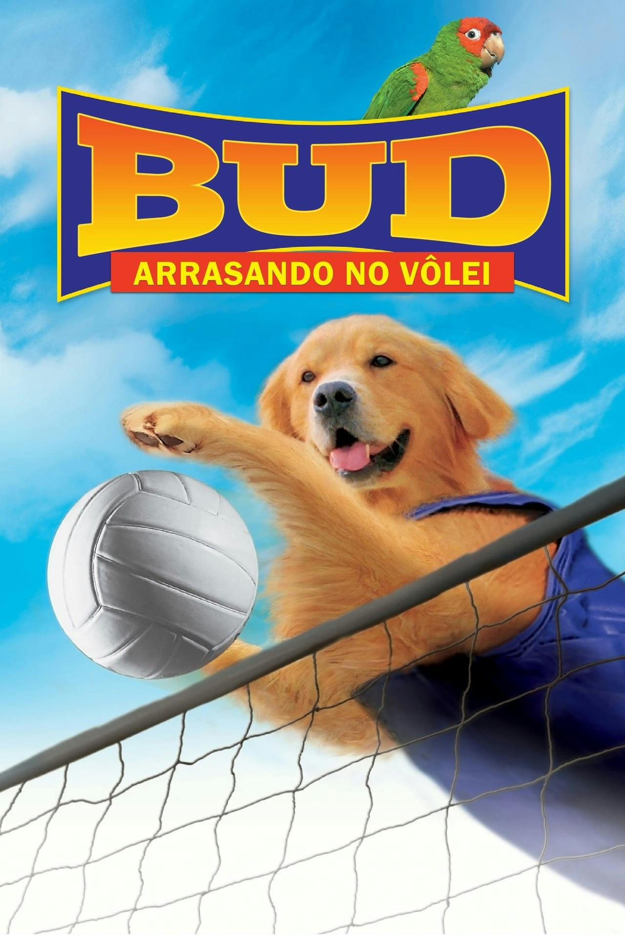 Assistir Bud 5: Arrasando no Vôlei! Online em HD