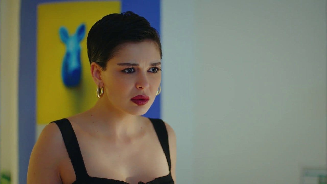 assista ao episódio 28 da temporada 1