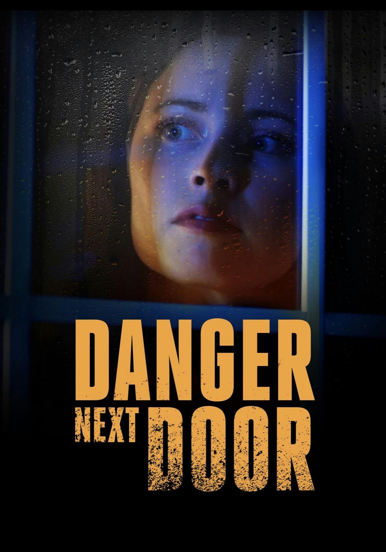 Assistir The Danger Next Door Online em HD