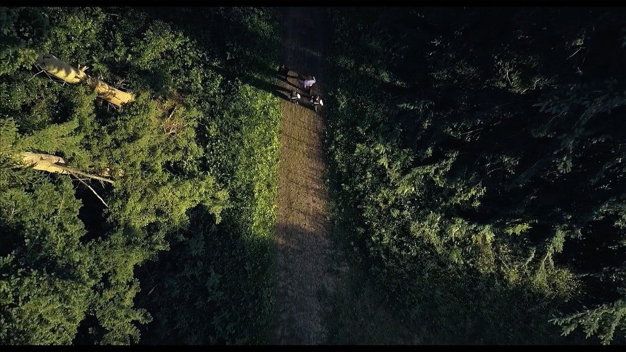 Detective Inspector assista online