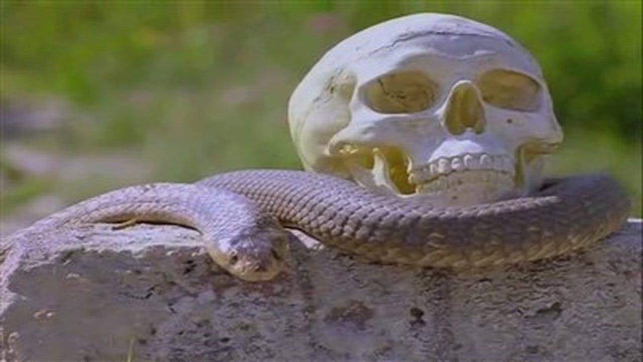 assista ao episódio 10 da temporada 1