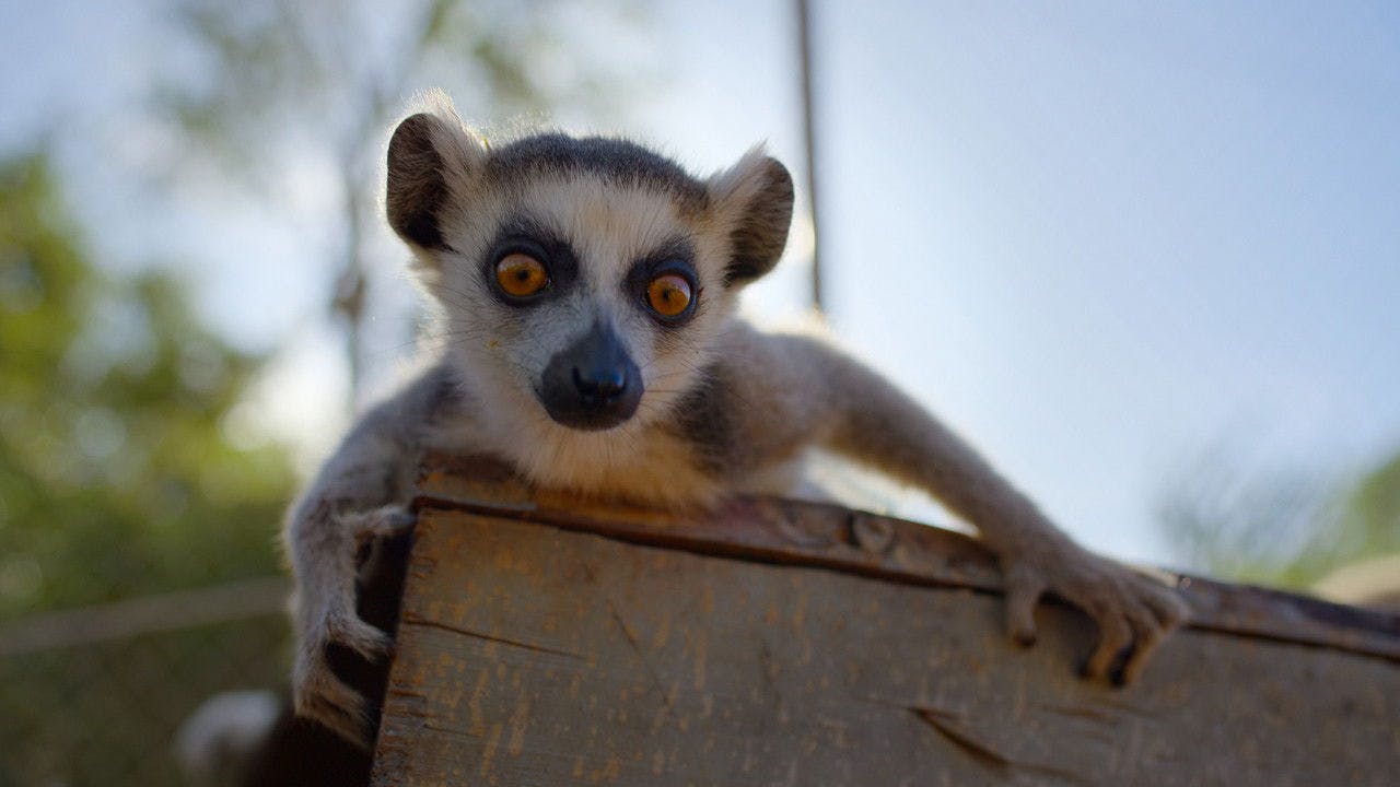 assista ao episódio 4 da temporada 1