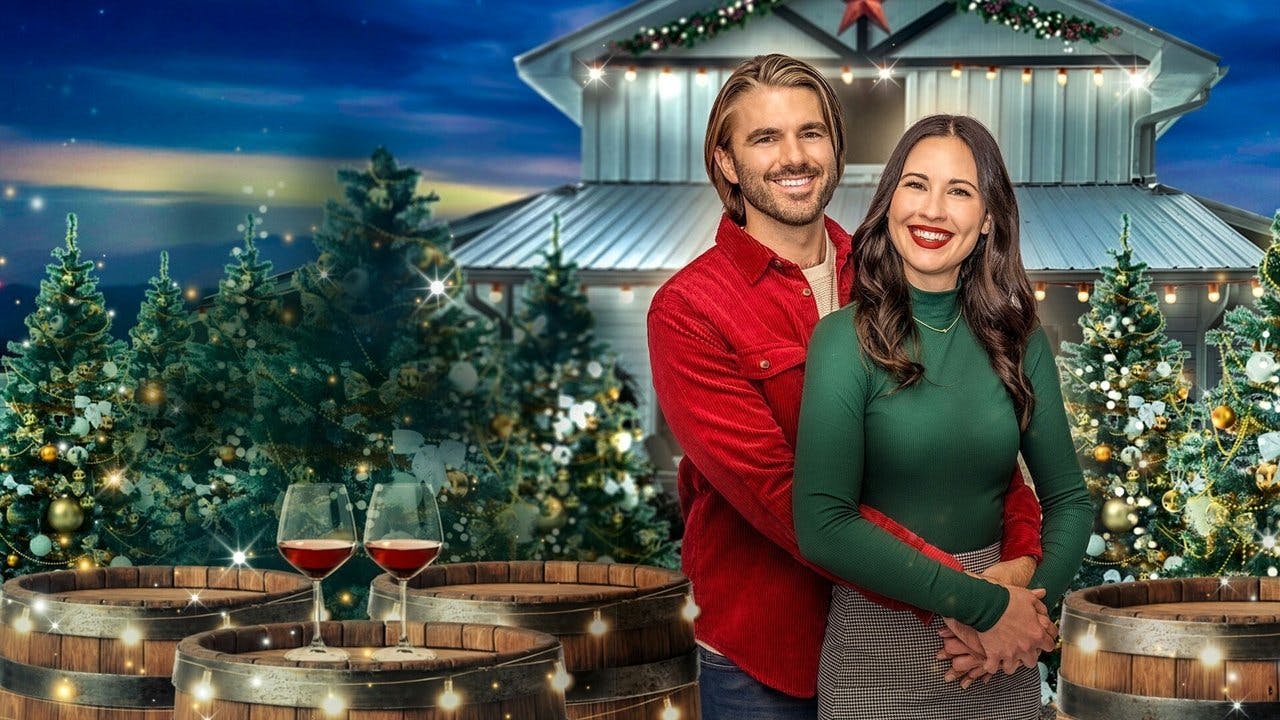 A Perfect Christmas Pairing assista online