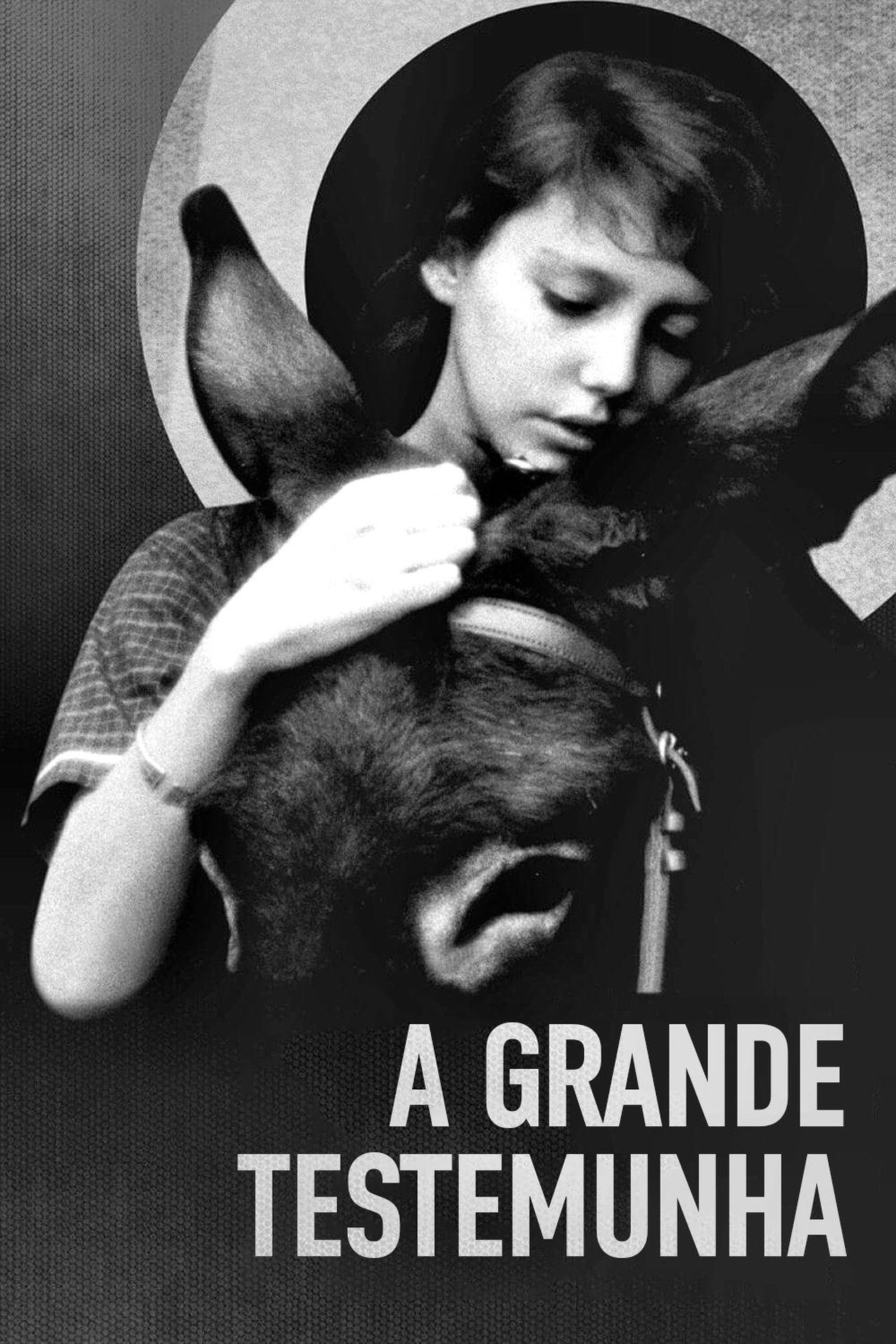 Assistir A Grande Testemunha Online em HD