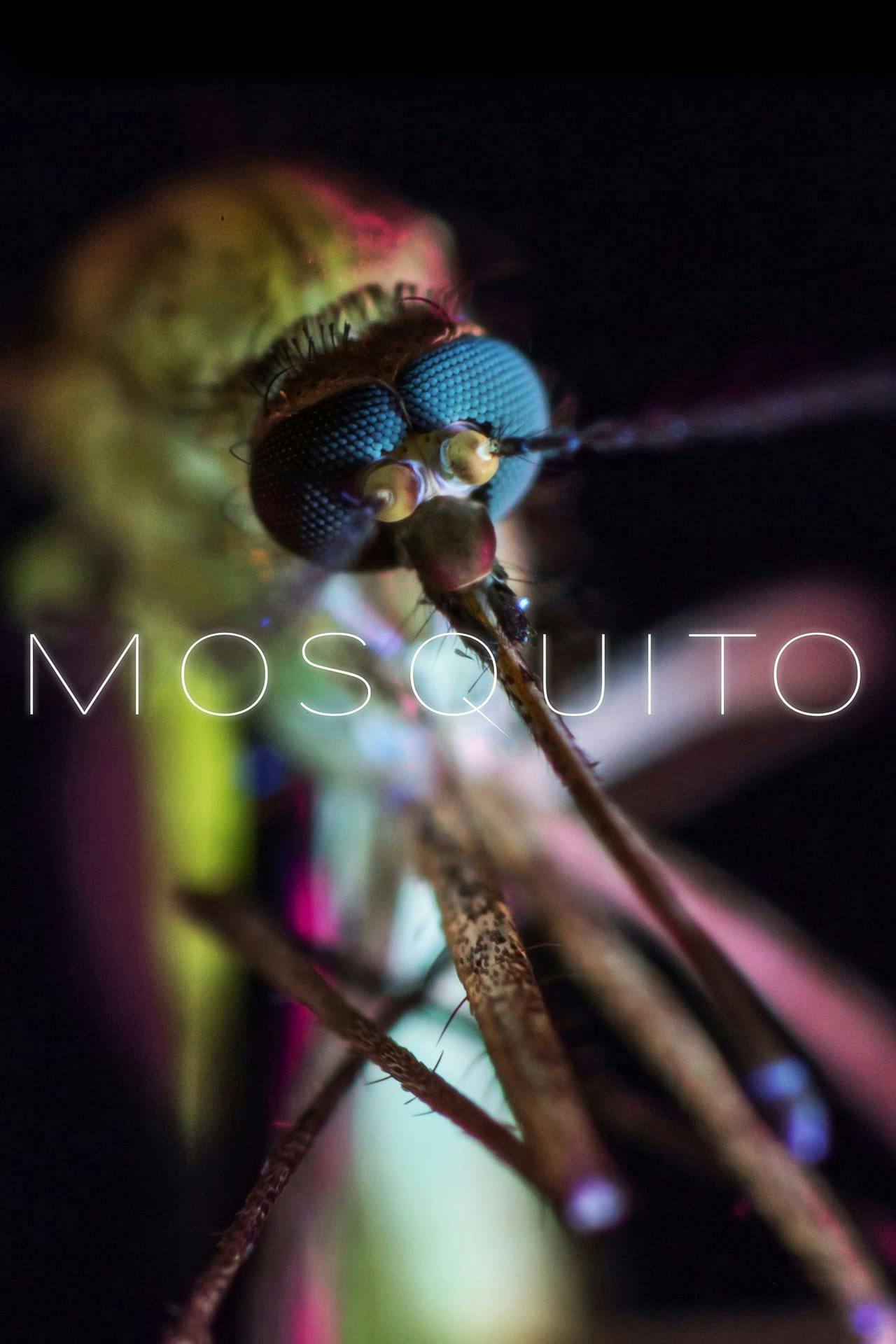 Assistir Mosquito Online em HD