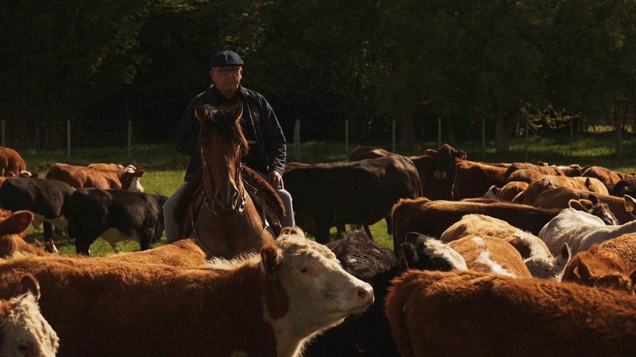 assista ao episódio 5 da temporada 1