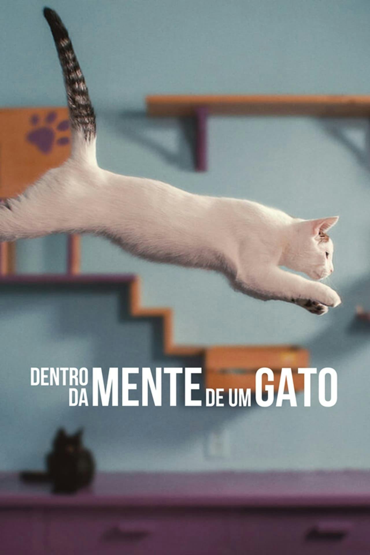 Assistir Dentro da Mente de um Gato Online em HD